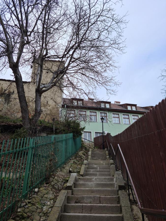 Stradela Cetatii Apartment Sighişoara Eksteriør billede